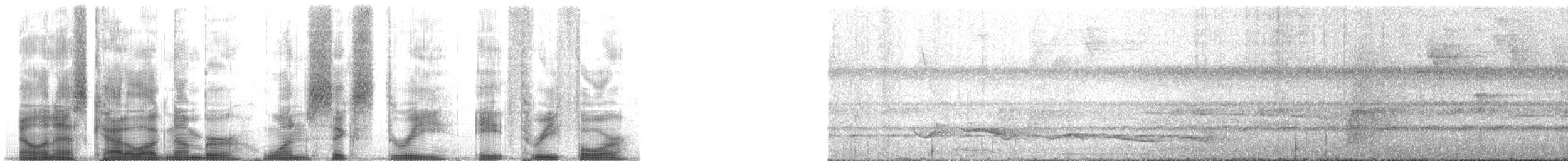 Ockerflecken-Ameisenwächter - ML163834