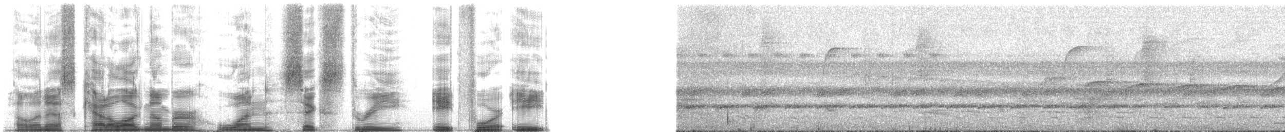 Kuzeyli Kestanerengi Karıncakuşu (hemimelaena) - ML163848