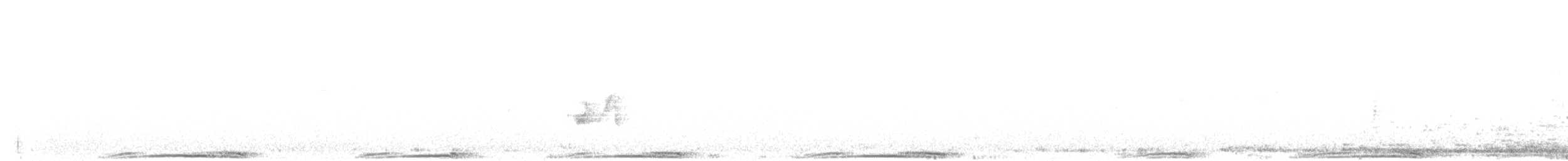 カワラバト（ドバト、家畜型） - ML163849181