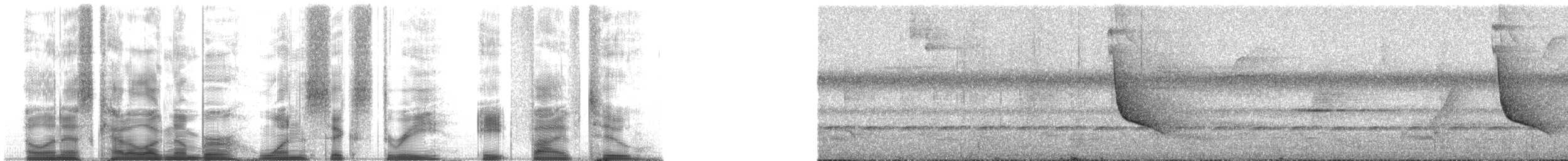Танагра-сикіт білокрила - ML163852