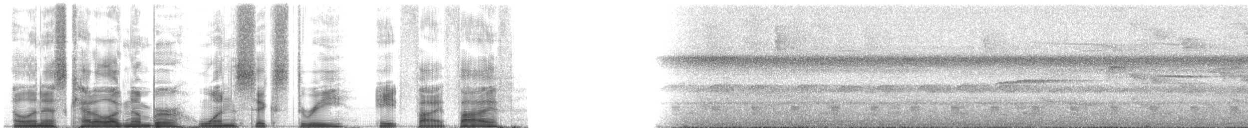 Pullu Çıtkuşu [marginatus grubu] - ML163855
