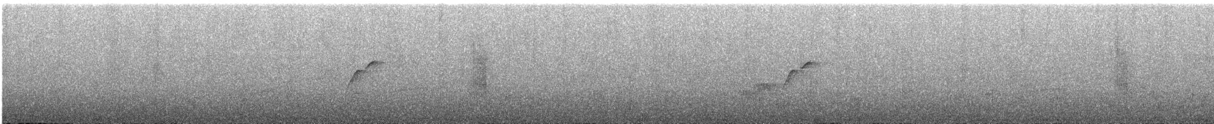Batı Amerika Sinekkapanı (occidentalis/hellmayri) - ML163857831