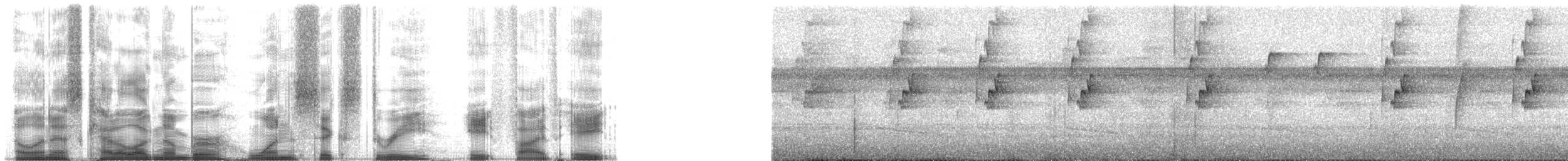 Большеклювый колибри-отшельник [группа moorei] - ML163858