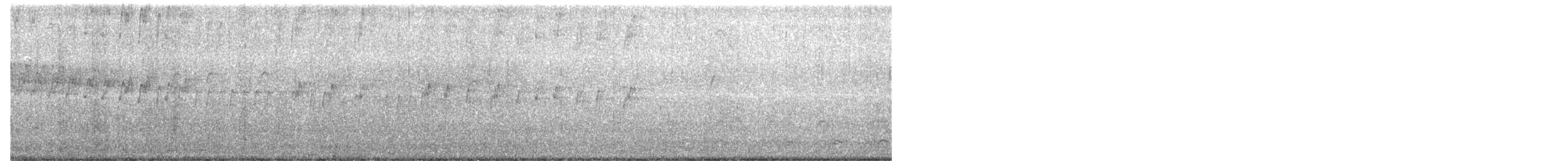 Pigeon Guillemot - ML163865581