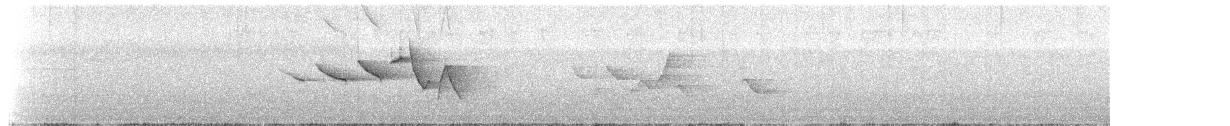 Swainson's Warbler - ML163867351