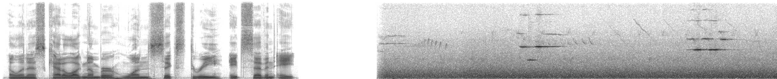 Андский кларино (ralloides) - ML163878