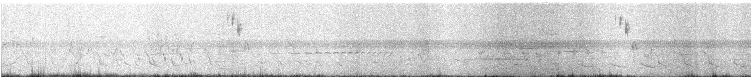 Henslow's Sparrow - ML163882741