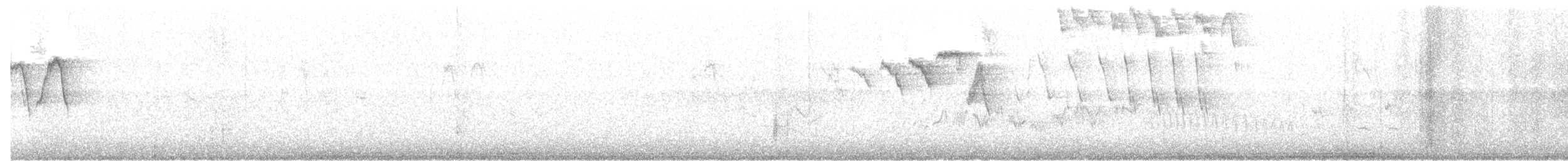 American Redstart - ML163883001