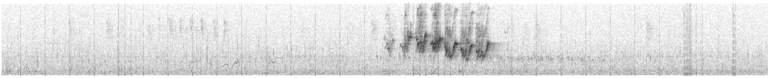 MacGillivray's Warbler - ML163892021