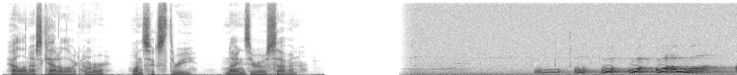 Barred Owl - ML163907