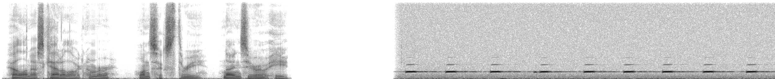 Northern Saw-whet Owl - ML163908