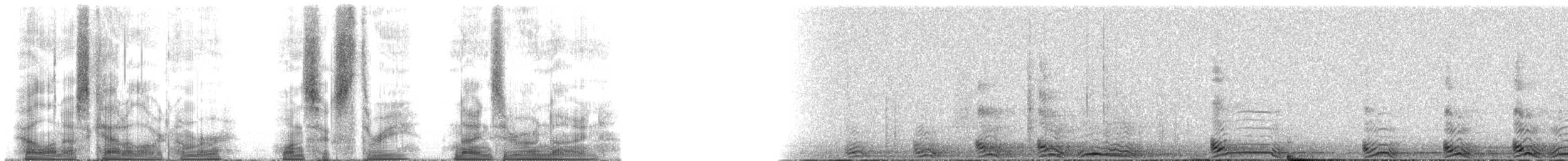 Barred Owl - ML163909