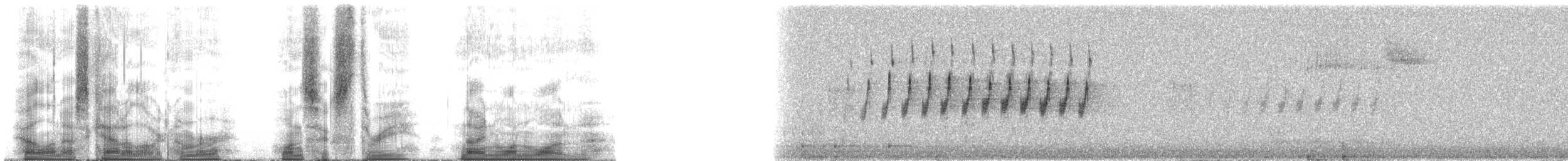 Palm Warbler - ML163911