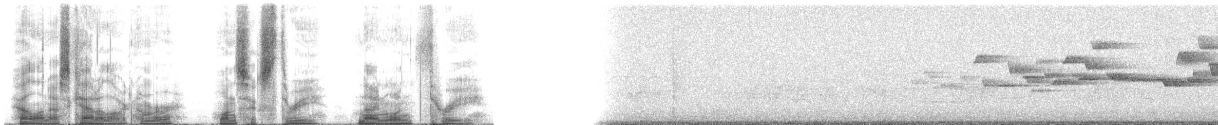 Barred Owl - ML163913