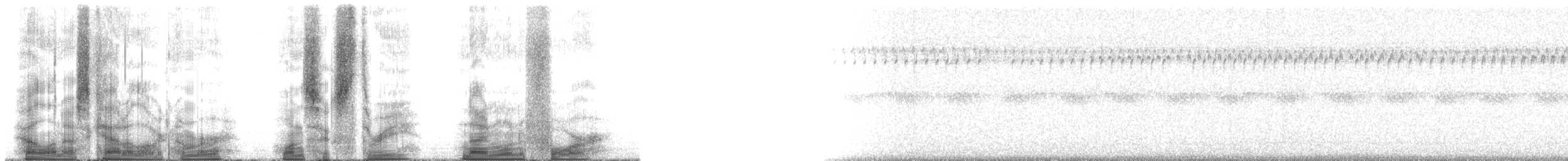 Texas Bush Katydid - ML163914