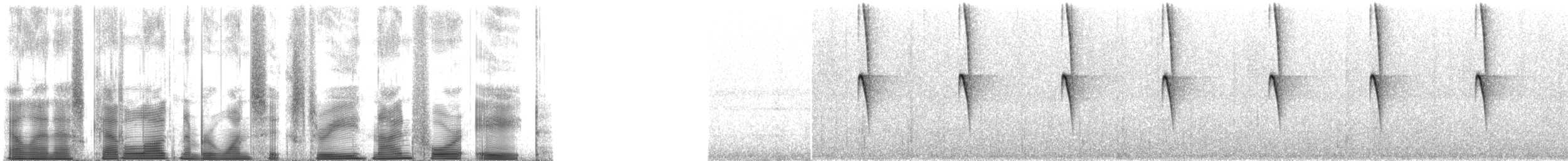 Grünstirn-Brillantkolibri - ML163948