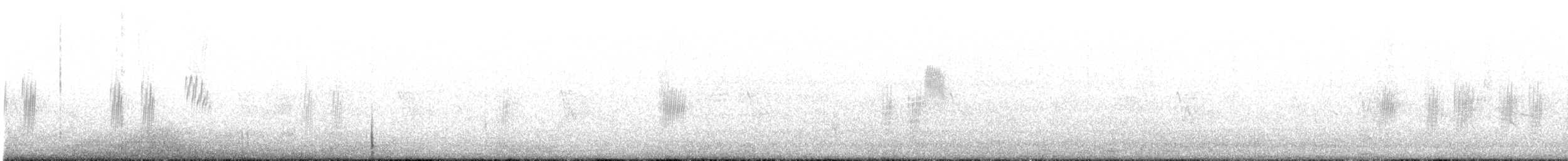 キタオビナシショウドウツバメ - ML163951151