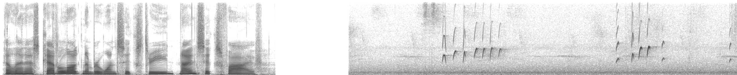 Gelbbauch-Schnäppertyrann (aurantiiventris) - ML163965