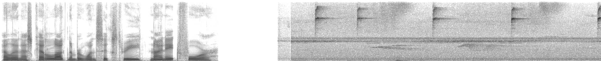 Klorospingus [postocularis grubu] - ML163984