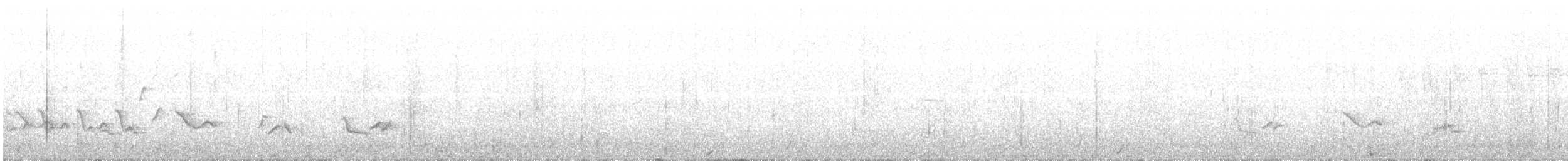 American Robin - ML163998311