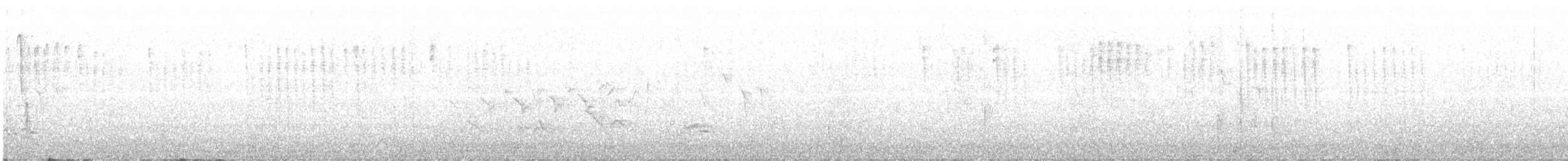 American Robin - ML163998341