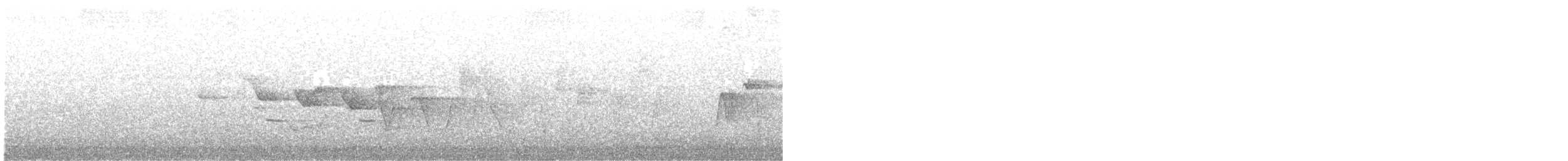 Louisiana Waterthrush - ML164024021