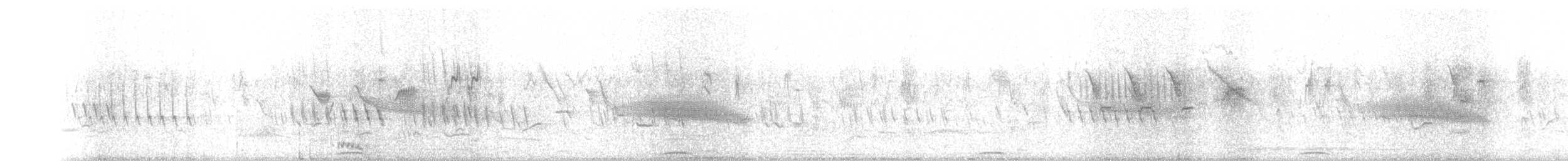 אנפית גמדית (אירואסייתית) - ML164033321