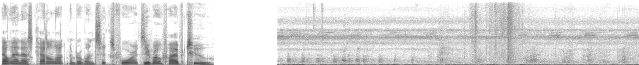 Yassı Gagalı Balıkçıl (cochlearius/panamensis) - ML164052