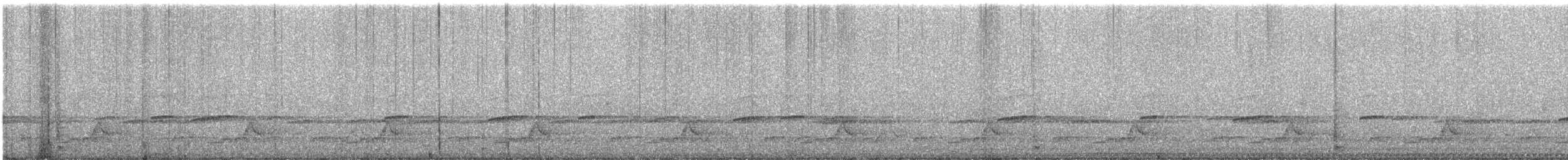 Schwarzkehl-Nachtschwalbe - ML164052571