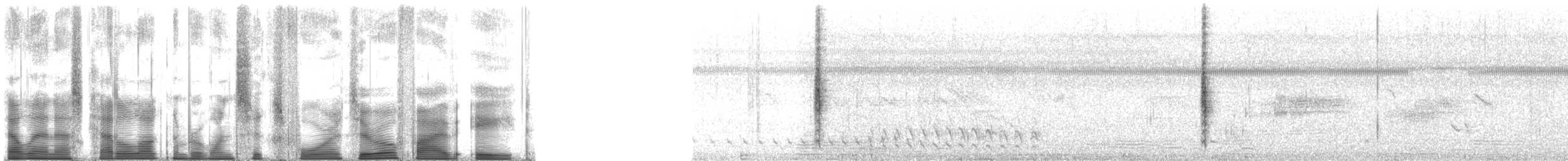 Sargento Alirrojo (grupo phoeniceus) - ML164058