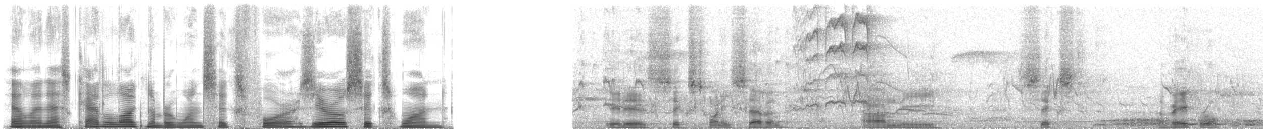 Troglodyte à nuque rousse (groupe capistratus) - ML164061