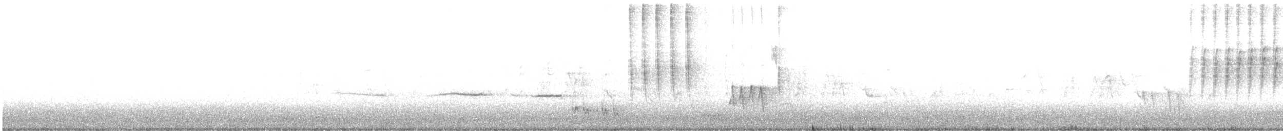 sørnattergal - ML164104721