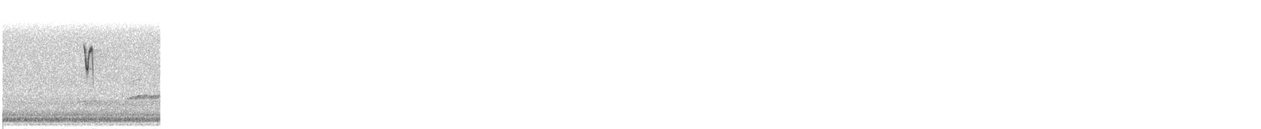 Canada Warbler - ML164111531