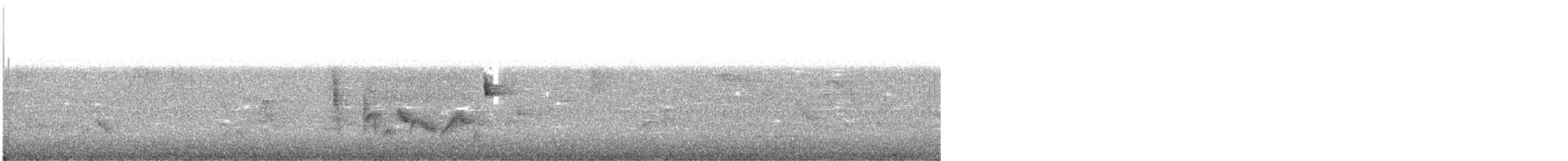 White-eyed Vireo - ML164135271