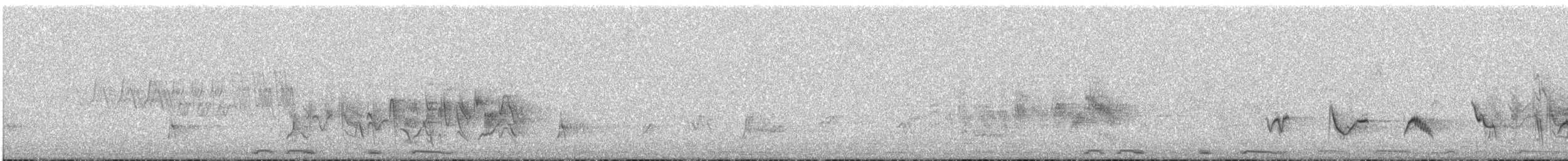 Bell's Vireo (Arizona) - ML164144511