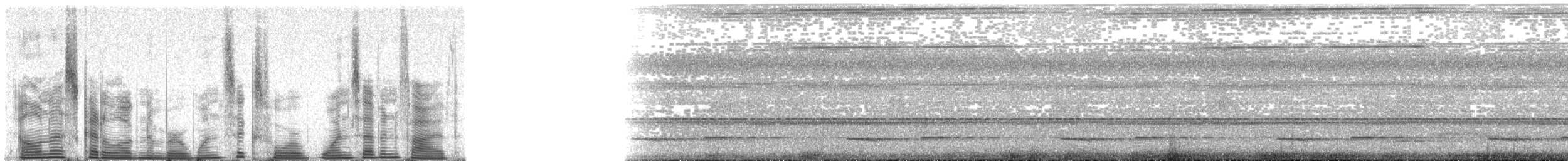 Длинноклювая куропатка - ML164175