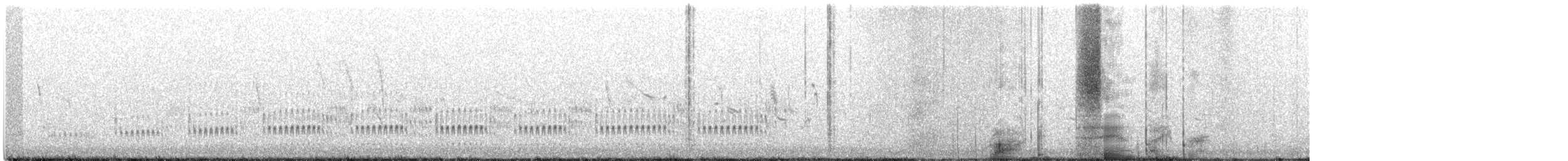 Beringstrandläufer (tschuktschorum) - ML164182011