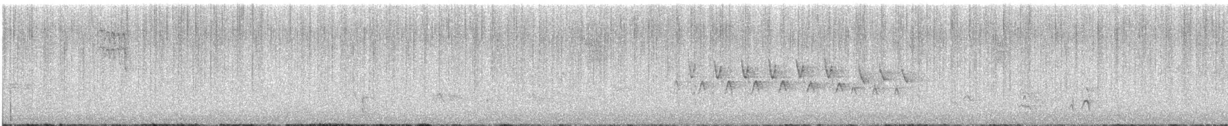 Black-throated Gray Warbler - ML164188241