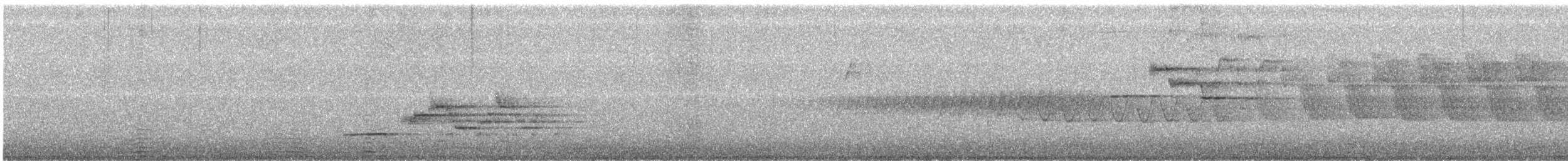 Hermit Thrush - ML164192821