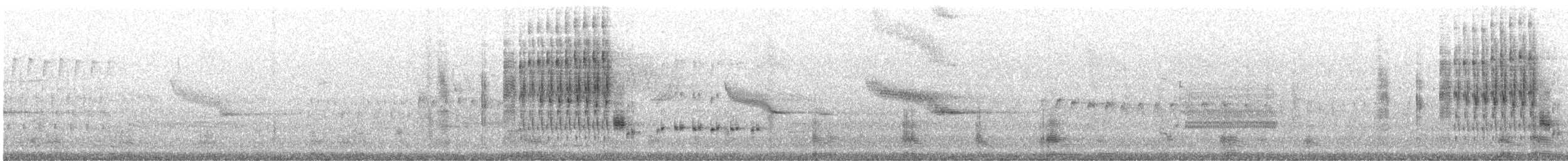Marsh Wren (palustris Group) - ML164215071