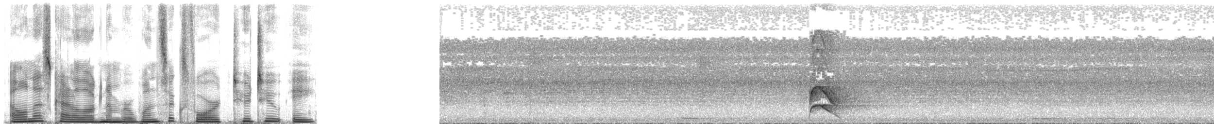 Western Hooded Pitta (Sunda) - ML164228