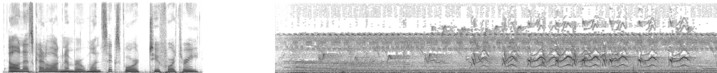 Banded Woodpecker - ML164243