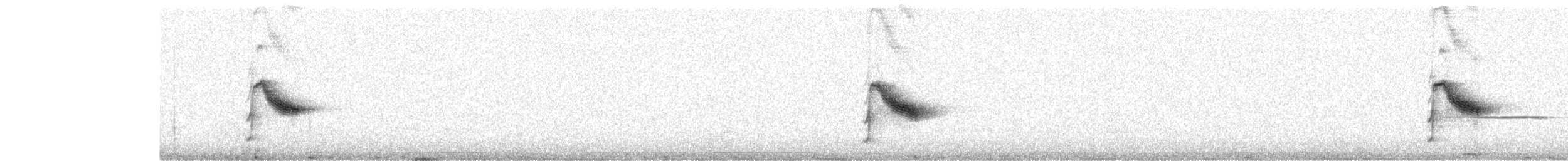 Bicknell Bülbül Ardıcı - ML164263741