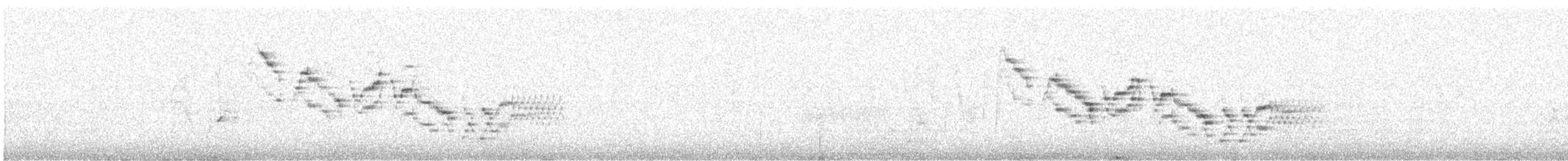 Bicknell Bülbül Ardıcı - ML164263751