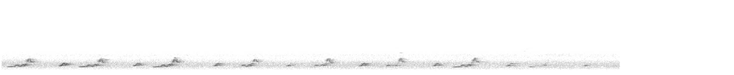 Schwarzkehl-Nachtschwalbe - ML164267281