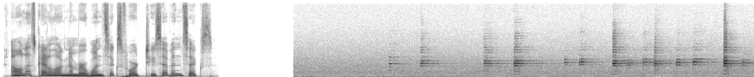 Ібіс сірокрилий - ML164276