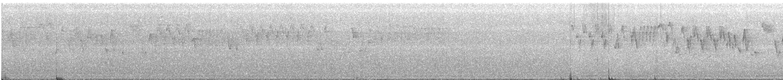 Pacific Wren - ML164278791