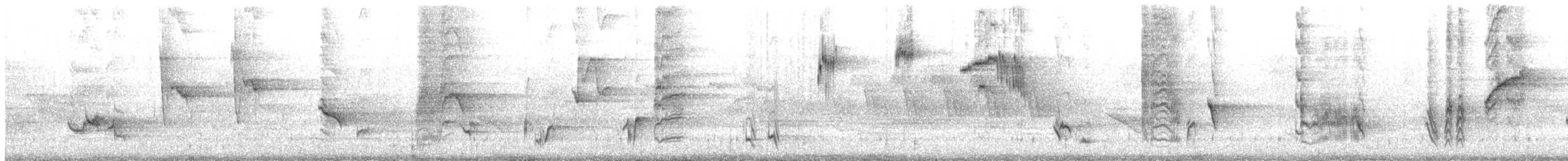 Gray Catbird - ML164294521