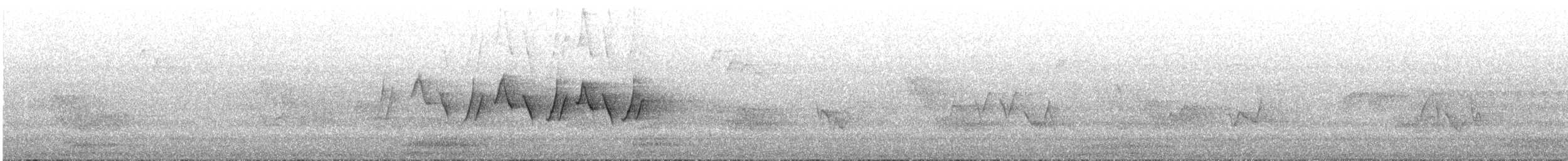 Common Yellowthroat - ML164296351