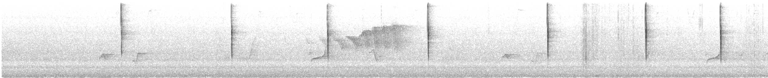 Dark-eyed Junco (Slate-colored) - ML164296561